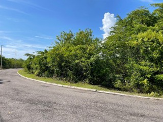 Land For Sale in Lacovia, St. Elizabeth Jamaica | [1]