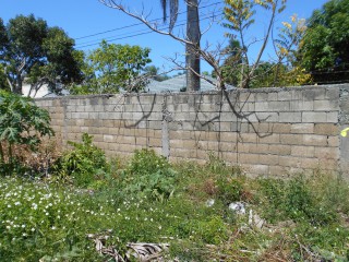 Land For Sale in Cardiff Hall, Runaway Bay, St. Ann Jamaica | [4]