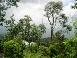 Residential lot For Sale in Red Hills, Kingston / St. Andrew Jamaica | [6]