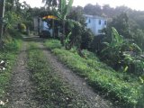 Residential lot For Sale in Wydah Mount Pleasant, Portland Jamaica | [3]