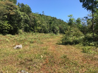 Residential lot For Sale in Chippenham Park Bamboo, St. Ann Jamaica | [9]