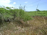 Commercial/farm land For Sale in Hartland, St. Catherine Jamaica | [2]