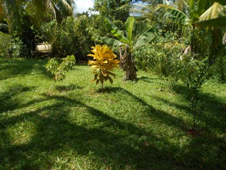 House For Sale in Treadways, St. Catherine Jamaica | [4]