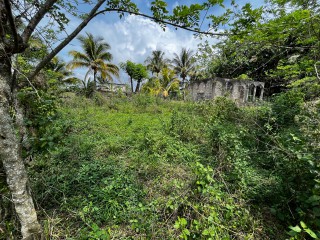 Land For Sale – Bethel Town, Westmoreland, Jamaica
