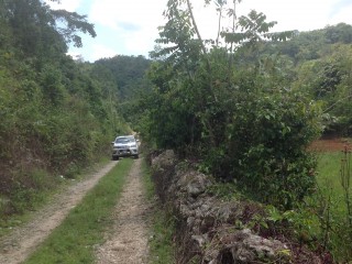 Residential lot For Sale in Mile Gully, Manchester Jamaica | [6]
