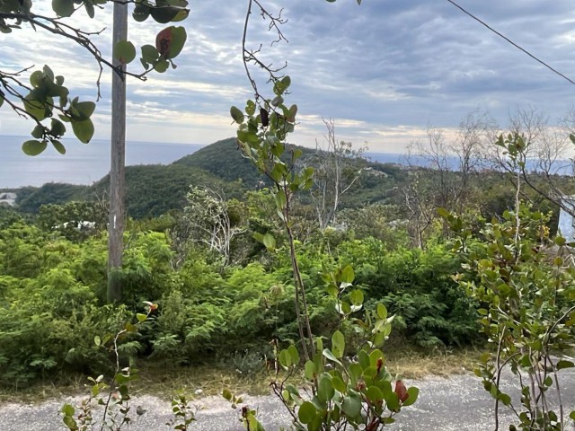 Residential lot For Sale in Spring Garden, St. Thomas Jamaica | [2]