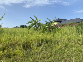 Land For Sale in Tower Isle, St. Mary, Jamaica