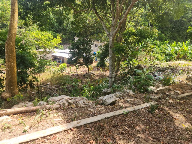 Residential lot For Sale in Swain Spring, Kingston / St. Andrew Jamaica | [3]