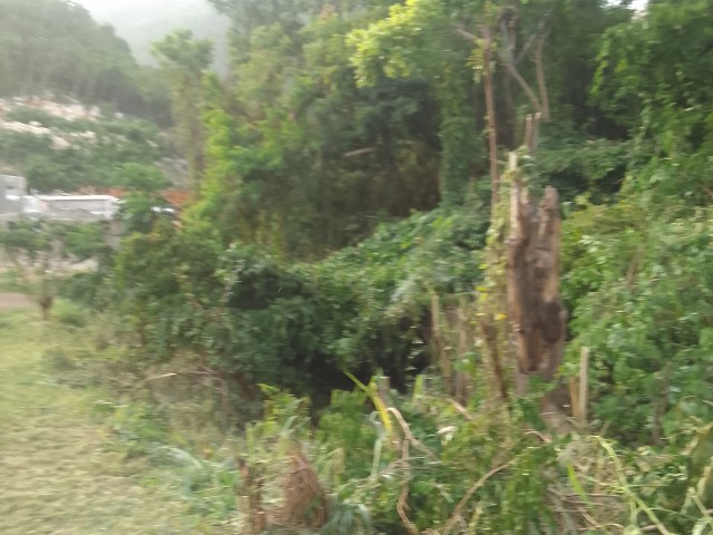 Residential lot For Sale in Chancery Hall, Kingston / St. Andrew Jamaica | [4]
