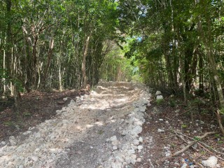 Land For Sale in Montego Bay, St. James Jamaica | [9]