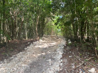 Land For Sale in Montego Bay, St. James, Jamaica