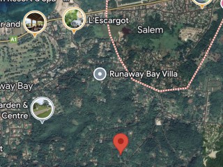 Land For Sale in Cardiff Hall, St. Ann, Jamaica