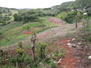 Residential lot For Sale in Lumsden, St. Ann Jamaica | [7]