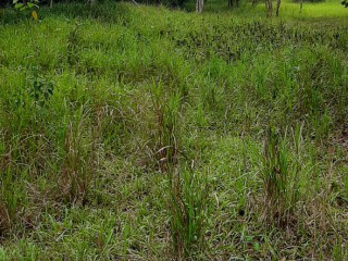 1 bed Commercial/farm land For Sale in Off Spanish Town or Kitson Town, St. Catherine, Jamaica