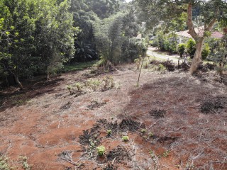 Residential lot For Sale in Pioria, Manchester Jamaica | [12]