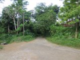 Commercial/farm land For Sale in Grange Hill, Portland Jamaica | [2]