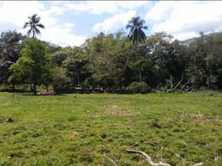 Commercial land For Sale in Lottery, St. James Jamaica | [5]