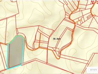 Commercial/farm land For Sale in Retreat Pen Browns Town, St. Ann Jamaica | [4]