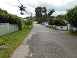 Land For Sale in Mandeville, Manchester, Jamaica