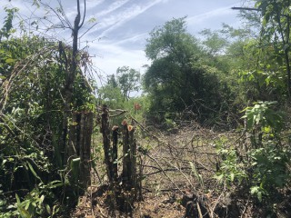 Land For Sale in Negril, Westmoreland, Jamaica