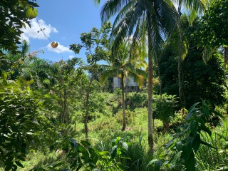 Land For Sale in Guys Hill, St. Mary, Jamaica