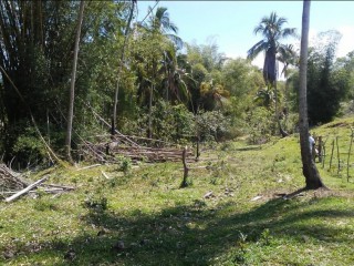 Commercial land For Sale in Lottery, St. James Jamaica | [6]