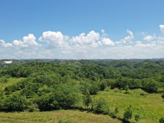 Residential lot For Sale in Chippenham Park Bamboo, St. Ann Jamaica | [2]