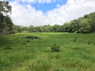 Residential lot For Sale in Chippenham Park Bamboo, St. Ann Jamaica | [5]