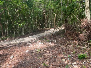 Land For Sale in Montego Bay, St. James, Jamaica