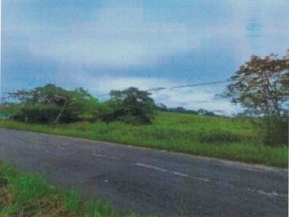 Residential lot For Sale in Carton Claremont, St. Ann Jamaica | [6]