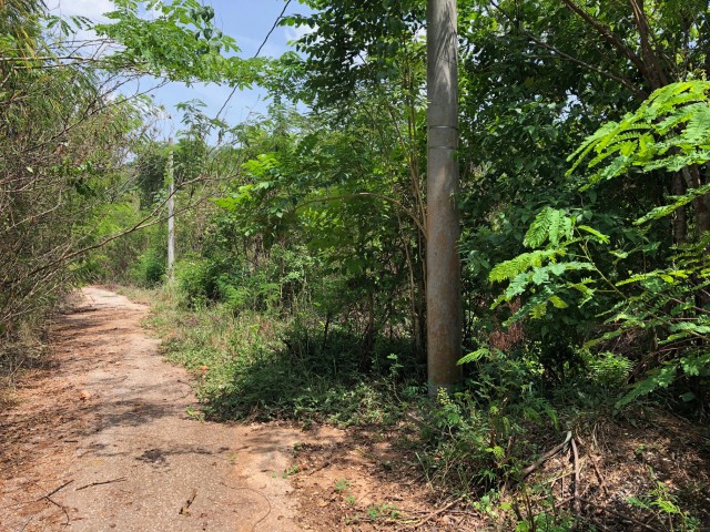 Land For Sale in SmokeyVale, Kingston / St. Andrew Jamaica | [6]