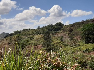 Land For Sale in James Hill, Clarendon Jamaica | [7]