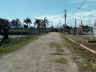 Commercial/farm land For Sale in Maypen, Clarendon Jamaica | [4]