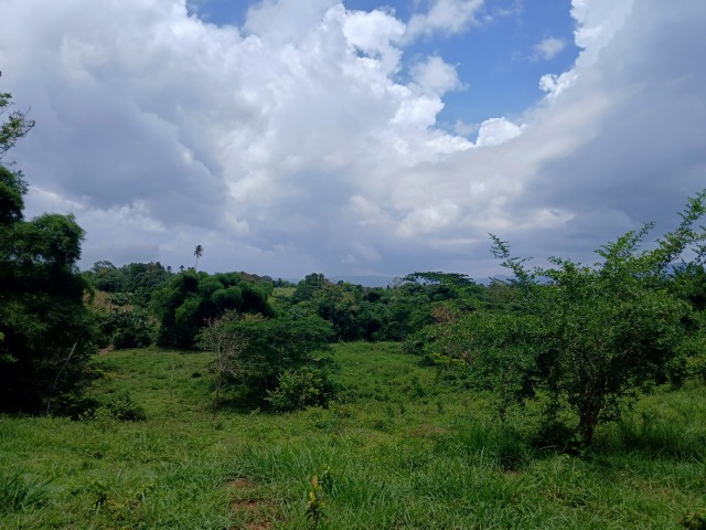 Land For Sale - Linstead, St. Catherine, Jamaica