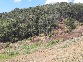Land For Sale in James Hill, Clarendon Jamaica | [9]