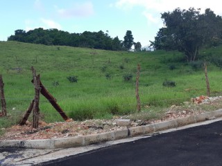 Residential lot For Sale in Newport, Manchester Jamaica | [10]