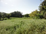 Commercial/farm land For Rent in Manchester, Manchester Jamaica | [3]