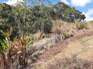 Land For Sale in James Hill, Clarendon Jamaica | [4]