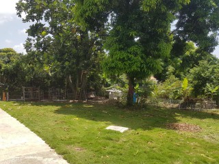 House For Sale in Hope Pastures, Kingston / St. Andrew Jamaica | [12]