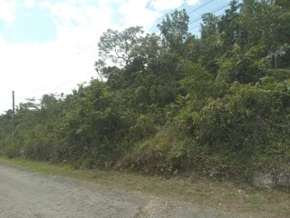 Commercial/farm land For Sale - Browns Town, St. Ann, Jamaica