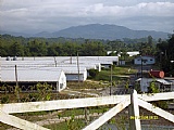 Commercial/farm land For Sale in Bog Walk Linstead, St. Catherine Jamaica | [7]