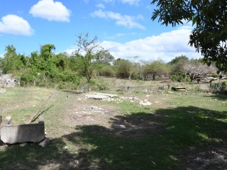 House For Sale in Black River, St. Elizabeth Jamaica | [8]