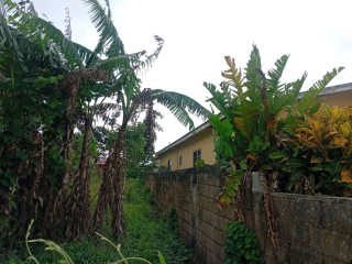 House For Sale in Mandeville, Manchester Jamaica | [1]