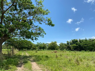 Residential lot For Sale in Bushy Park, St. Catherine, Jamaica