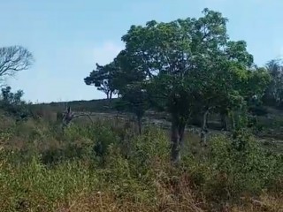 Land For Sale in Pusey Hill South Manchester, Manchester, Jamaica