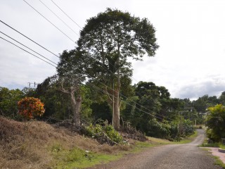 Residential lot For Sale in Pioria, Manchester Jamaica | [14]