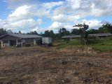 Commercial/farm land For Sale in Shettlewood, Hanover Jamaica | [10]