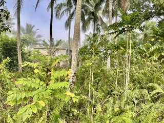 Residential lot For Sale in Spring Vale, St. Catherine Jamaica | [1]