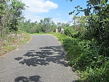 Commercial/farm land For Sale in Hatfield, Manchester Jamaica | [6]