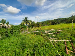 Residential lot For Sale in Jackson Town, Trelawny, Jamaica